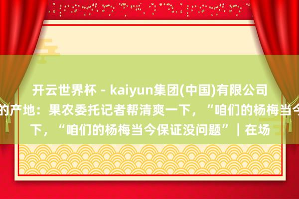 开云世界杯 - kaiyun集团(中国)有限公司 “泡药杨梅”风云后的产地：果农委托记者帮清爽一下，“咱们的杨梅当今保证没问题”｜在场