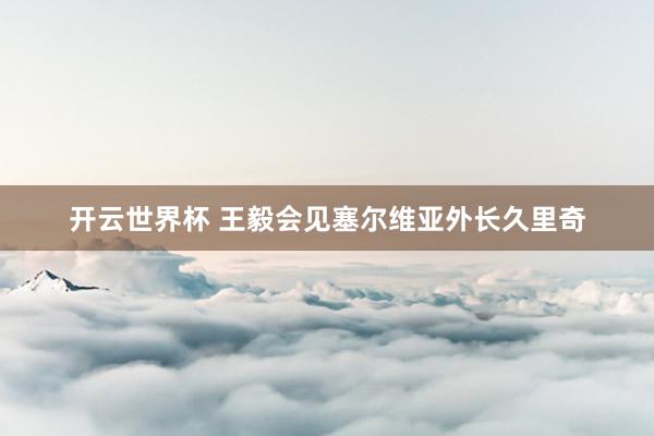 开云世界杯 王毅会见塞尔维亚外长久里奇