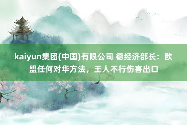 kaiyun集团(中国)有限公司 德经济部长：欧盟任何对华方法，王人不行伤害出口