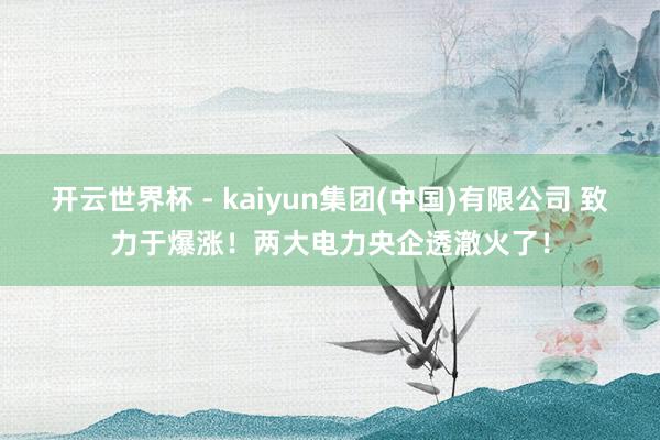 开云世界杯 - kaiyun集团(中国)有限公司 致力于爆涨！两大电力央企透澈火了！