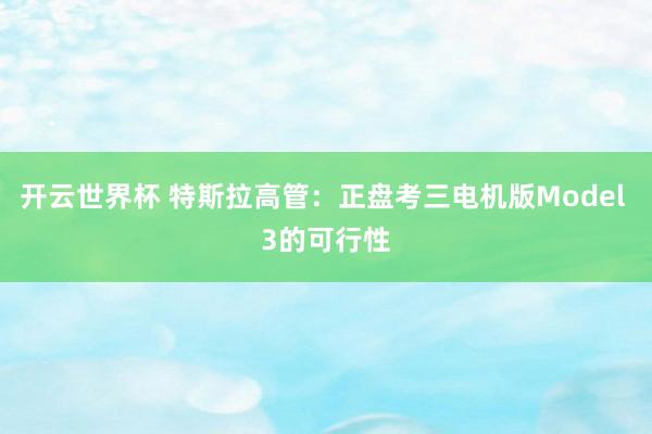 开云世界杯 特斯拉高管：正盘考三电机版Model 3的可行性