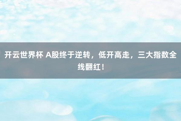开云世界杯 A股终于逆转，低开高走，三大指数全线翻红！