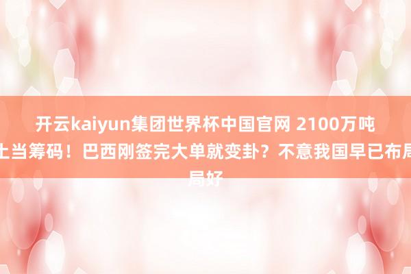 开云kaiyun集团世界杯中国官网 2100万吨稀土当筹码！巴西刚签完大单就变卦？不意我国早已布局好