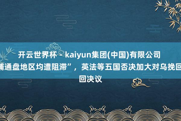 开云世界杯 - kaiyun集团(中国)有限公司 “基辅通盘地区均遭阻滞”，英法等五国否决加大对乌挽回决议