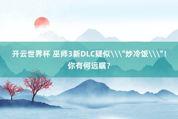 开云世界杯 巫师3新DLC疑似\