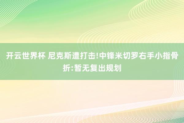 开云世界杯 尼克斯遭打击!中锋米切罗右手小指骨折:暂无复出规划