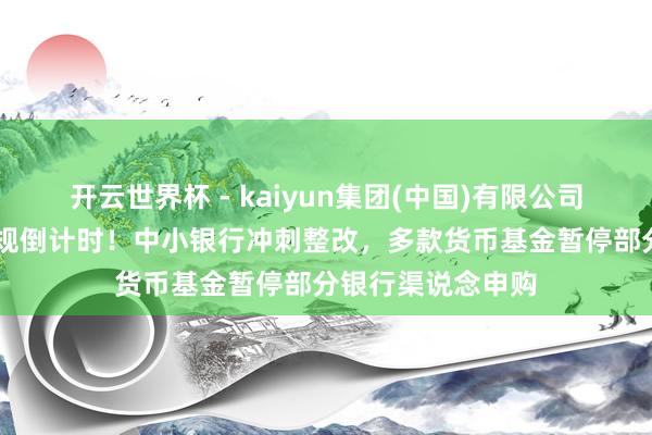 开云世界杯 - kaiyun集团(中国)有限公司 基金销售结算新规倒计时！中小银行冲刺整改，多款货币基金暂停部分银行渠说念申购