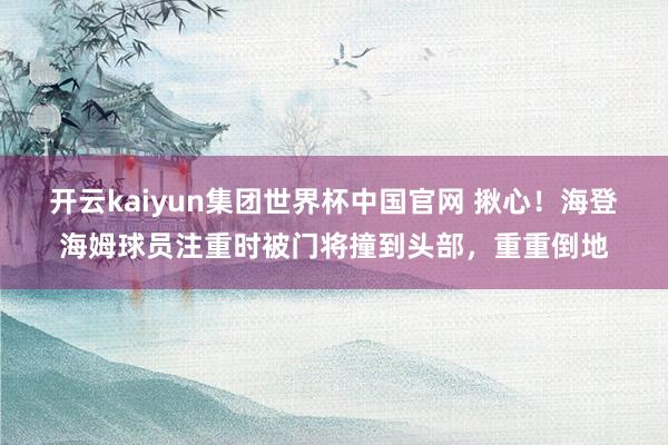 开云kaiyun集团世界杯中国官网 揪心！海登海姆球员注重时被门将撞到头部，重重倒地