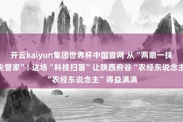 开云kaiyun集团世界杯中国官网 从“两眼一抹黑”到“指尖管家”! 这场“科技扫盲”让陕西府谷“农经东说念主”得益满满