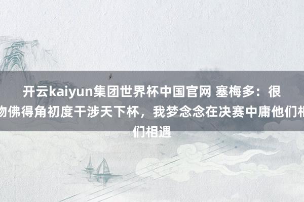 开云kaiyun集团世界杯中国官网 塞梅多:很风物佛得角初度干涉天下杯,我梦念念在决赛中庸他们相遇