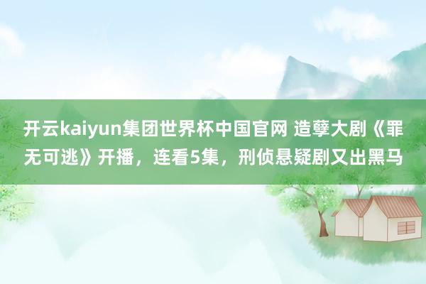 开云kaiyun集团世界杯中国官网 造孽大剧《罪无可逃》开播,连看5集,刑侦悬疑剧又出黑马