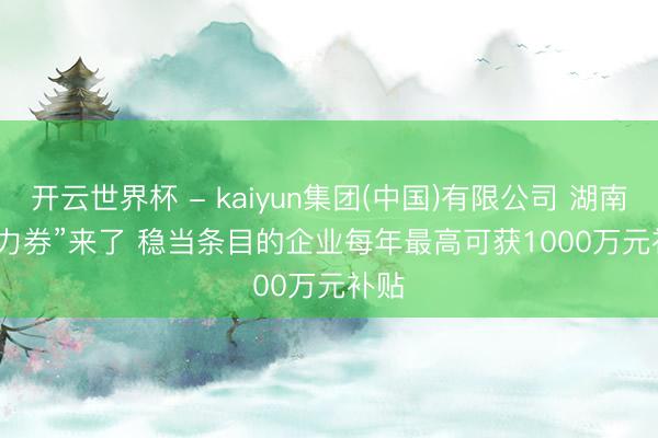 开云世界杯 - kaiyun集团(中国)有限公司 湖南“算力券”来了 稳当条目的企业每年最高可获1000万元补贴