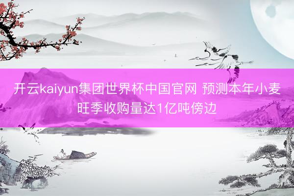 开云kaiyun集团世界杯中国官网 预测本年小麦旺季收购量达1亿吨傍边
