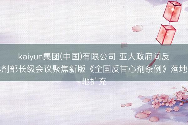 kaiyun集团(中国)有限公司 亚大政府间反甘心剂部长级会议聚焦新版《全国反甘心剂条例》落地扩充