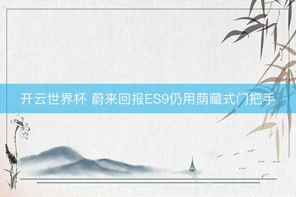 开云世界杯 蔚来回报ES9仍用荫藏式门把手