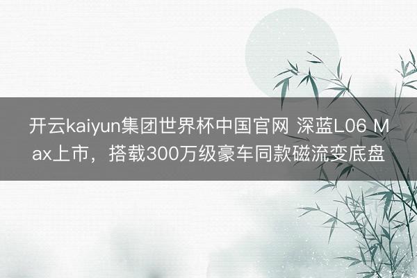 开云kaiyun集团世界杯中国官网 深蓝L06 Max上市，搭载300万级豪车同款磁流变底盘